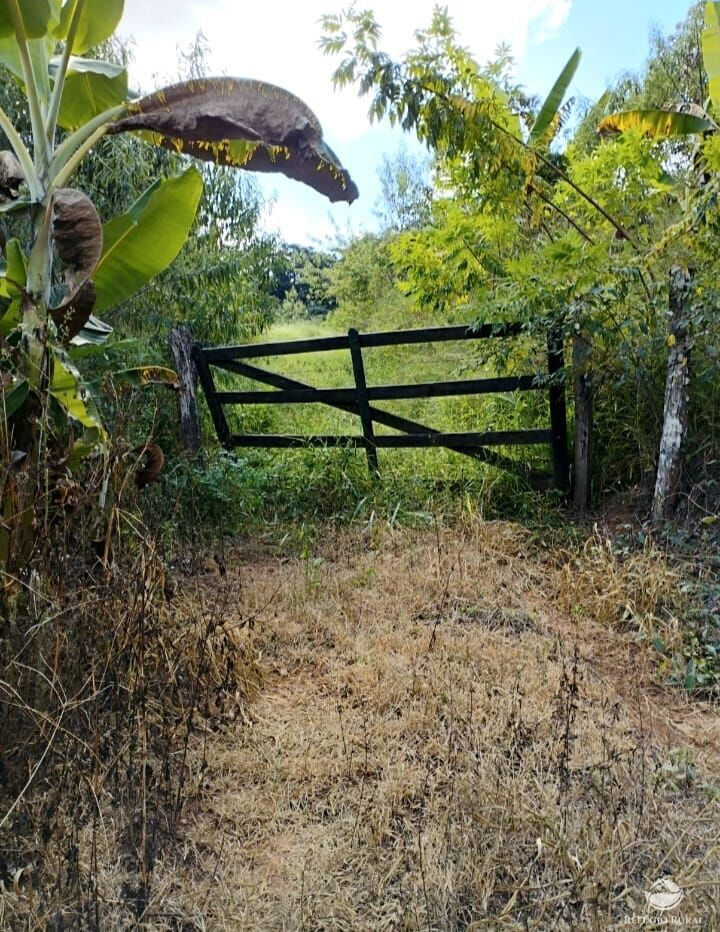 Fazenda à venda com 2 quartos, 1016400m² - Foto 9