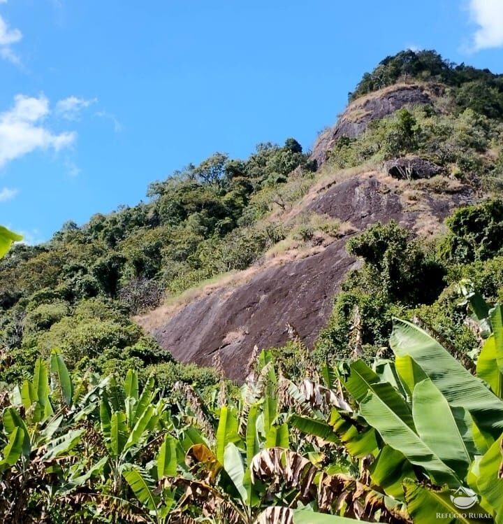 Fazenda à venda com 2 quartos, 1016400m² - Foto 4