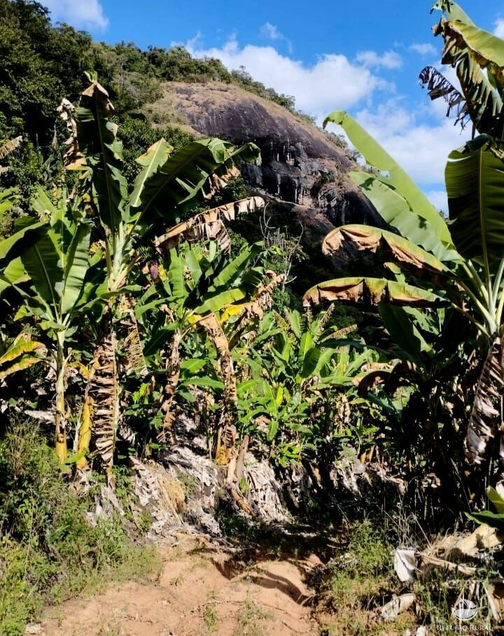 Fazenda à venda com 2 quartos, 1016400m² - Foto 12