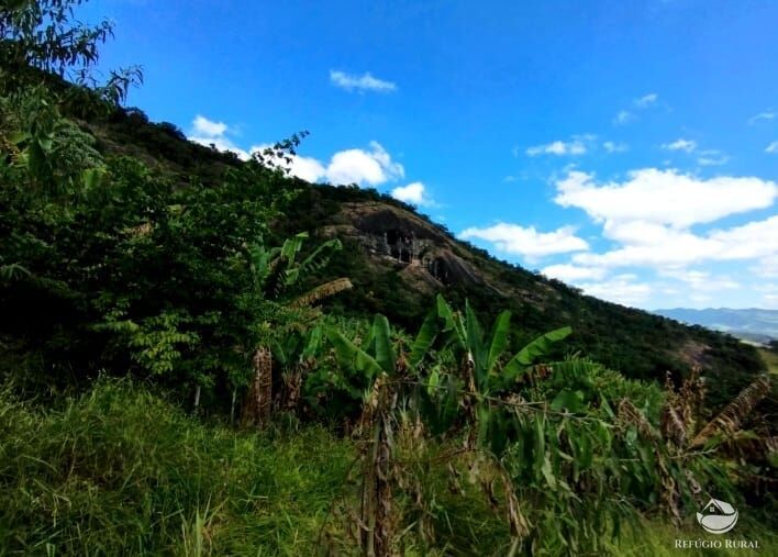 Fazenda à venda com 2 quartos, 1016400m² - Foto 13