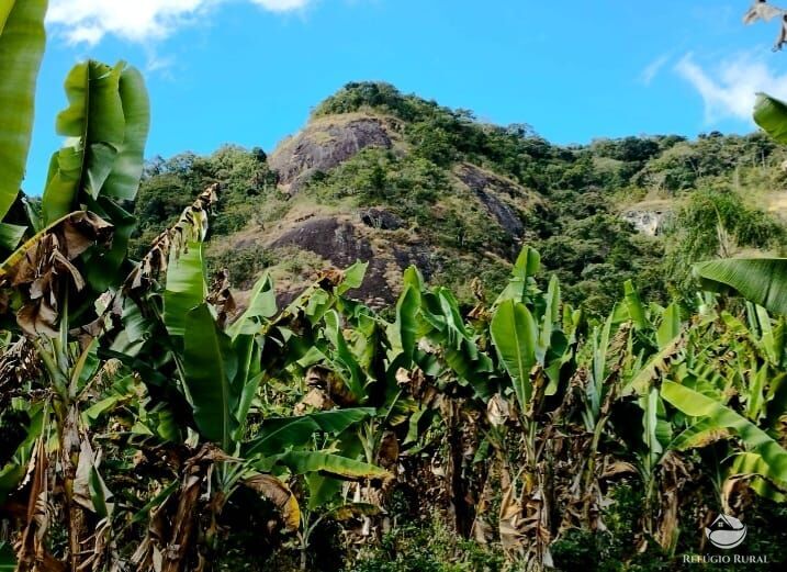 Fazenda à venda com 2 quartos, 1016400m² - Foto 5