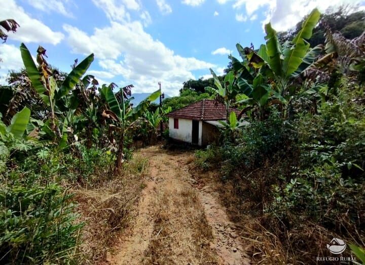 Fazenda à venda com 2 quartos, 1016400m² - Foto 6