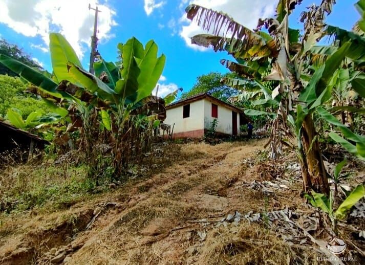 Fazenda à venda com 2 quartos, 1016400m² - Foto 3