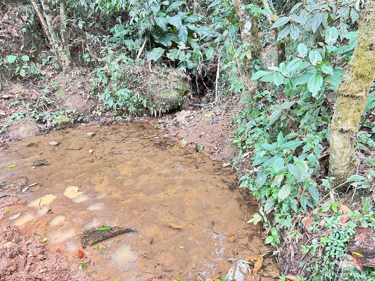 Terreno à venda, 60000m² - Foto 10