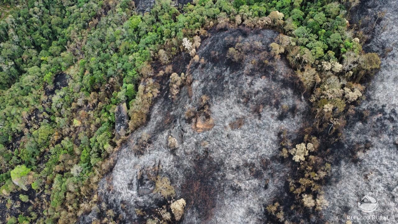 Terreno à venda, 60000m² - Foto 5