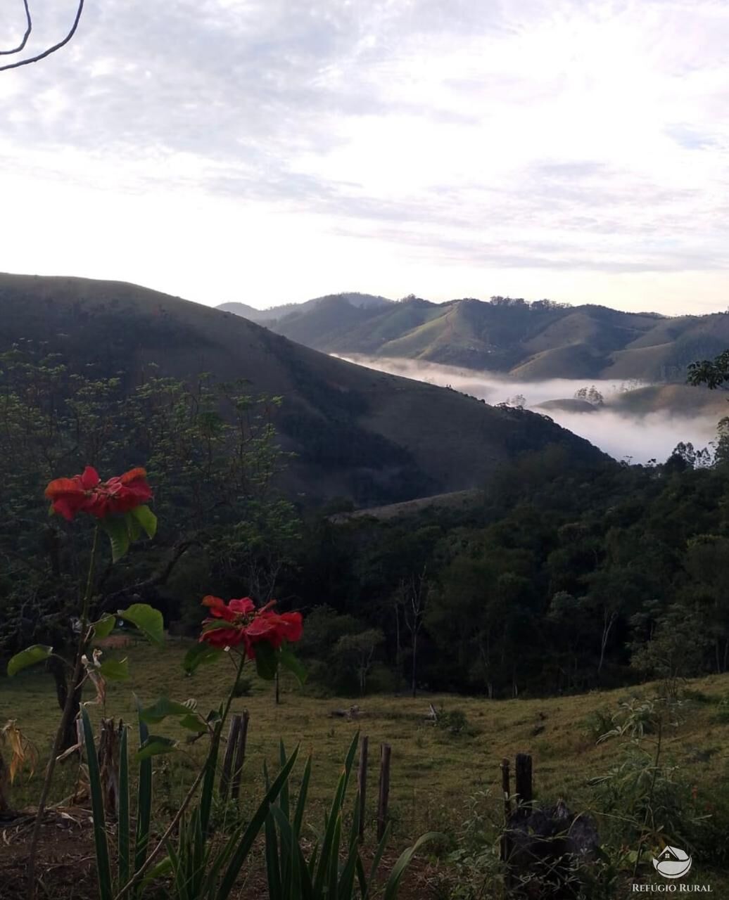 Terreno à venda, 60000m² - Foto 3