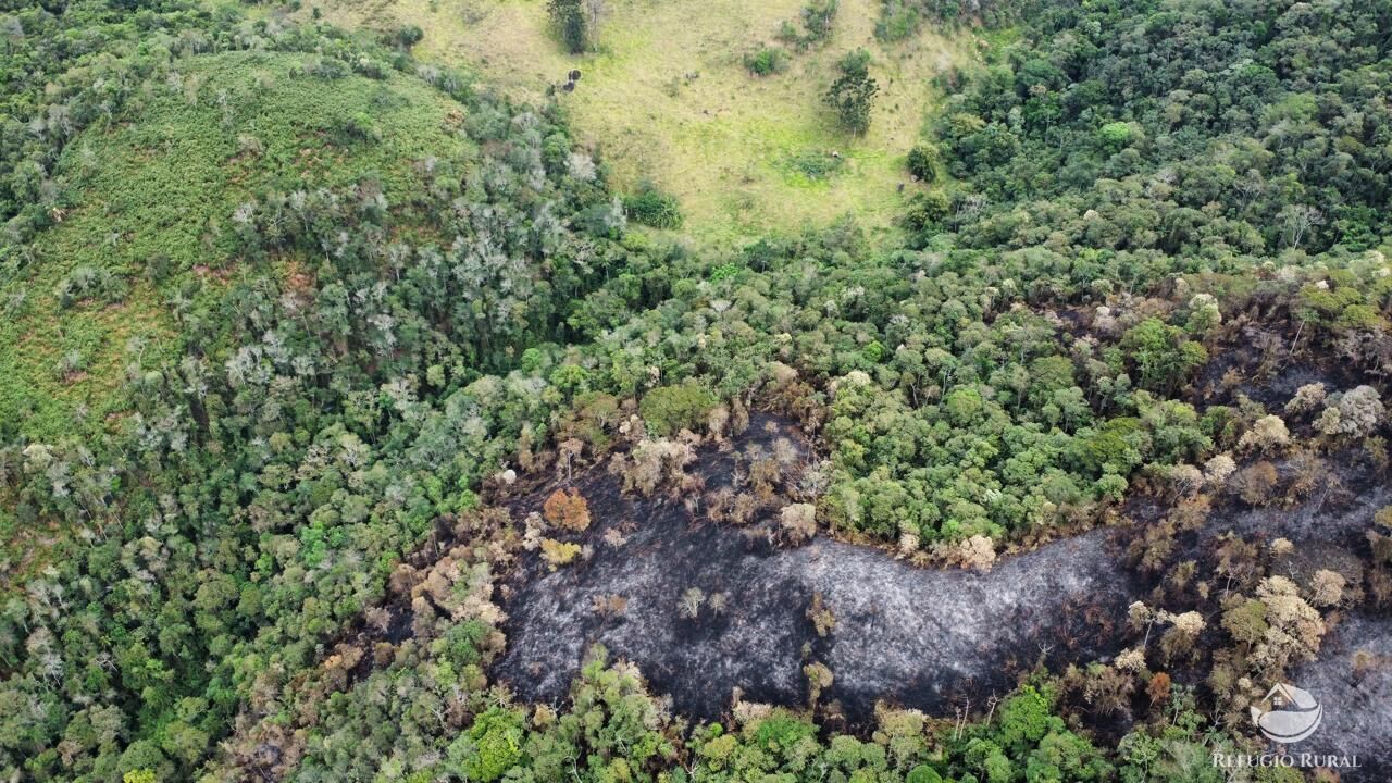 Terreno à venda, 60000m² - Foto 17