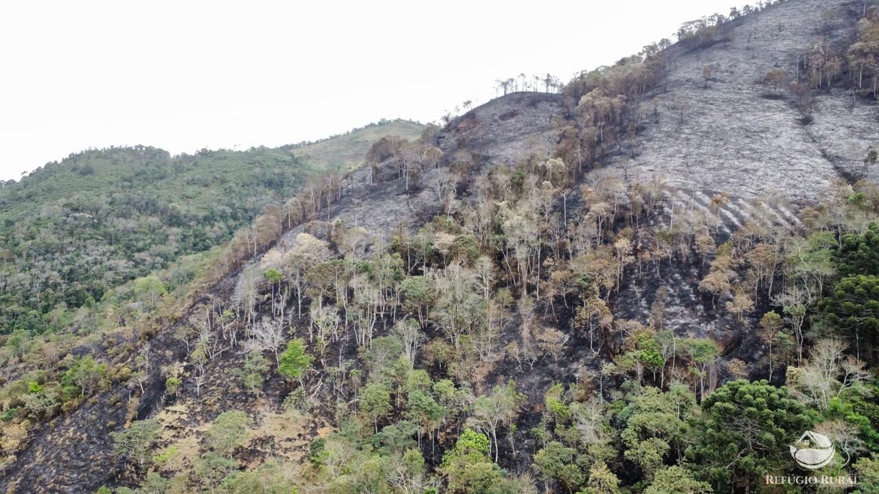 Terreno à venda, 60000m² - Foto 14