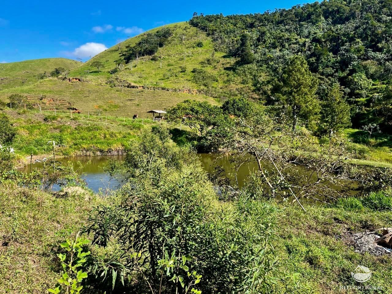 Fazenda à venda com 11 quartos, 11858000m² - Foto 5