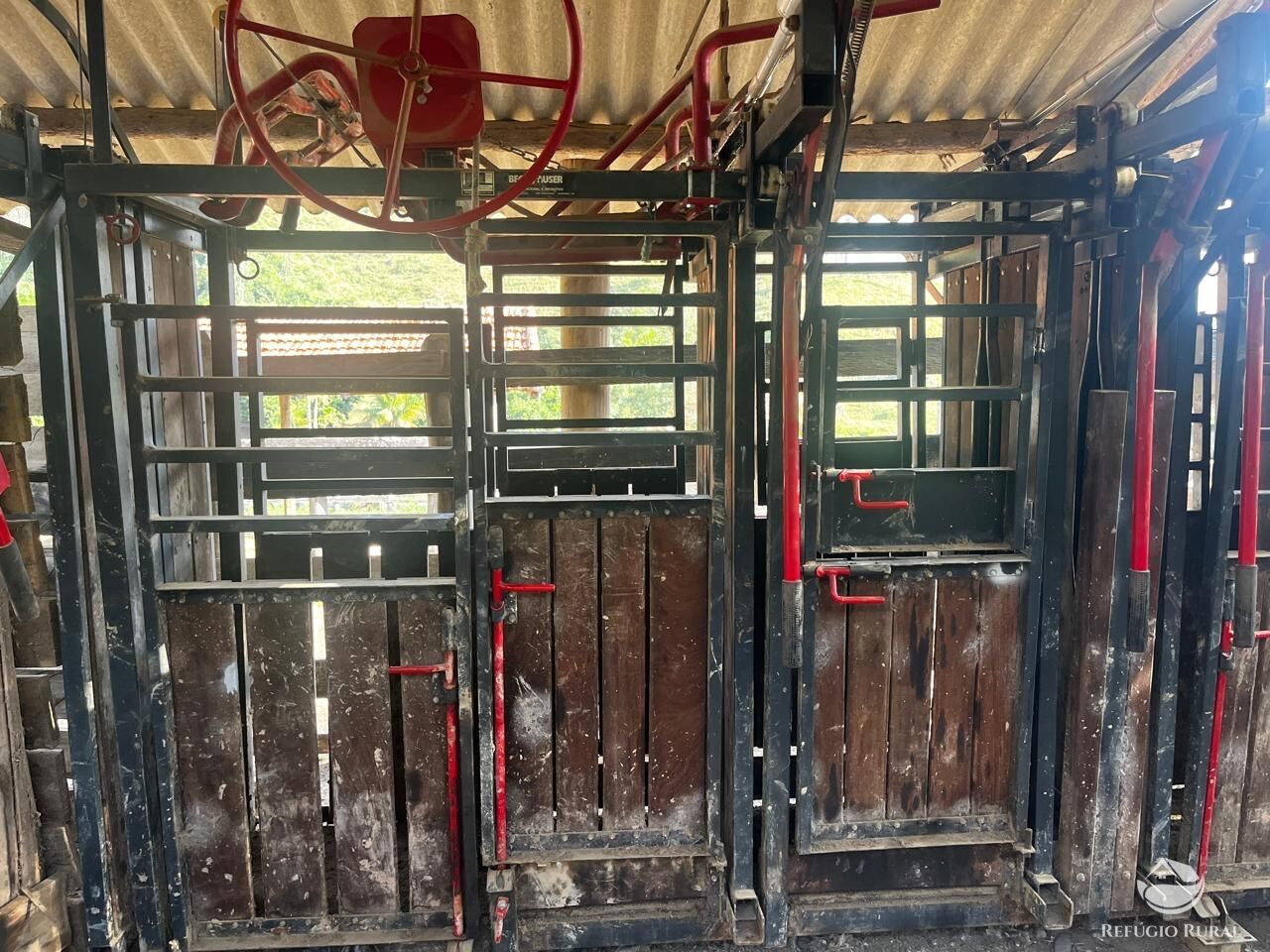 Fazenda à venda com 11 quartos, 11858000m² - Foto 11