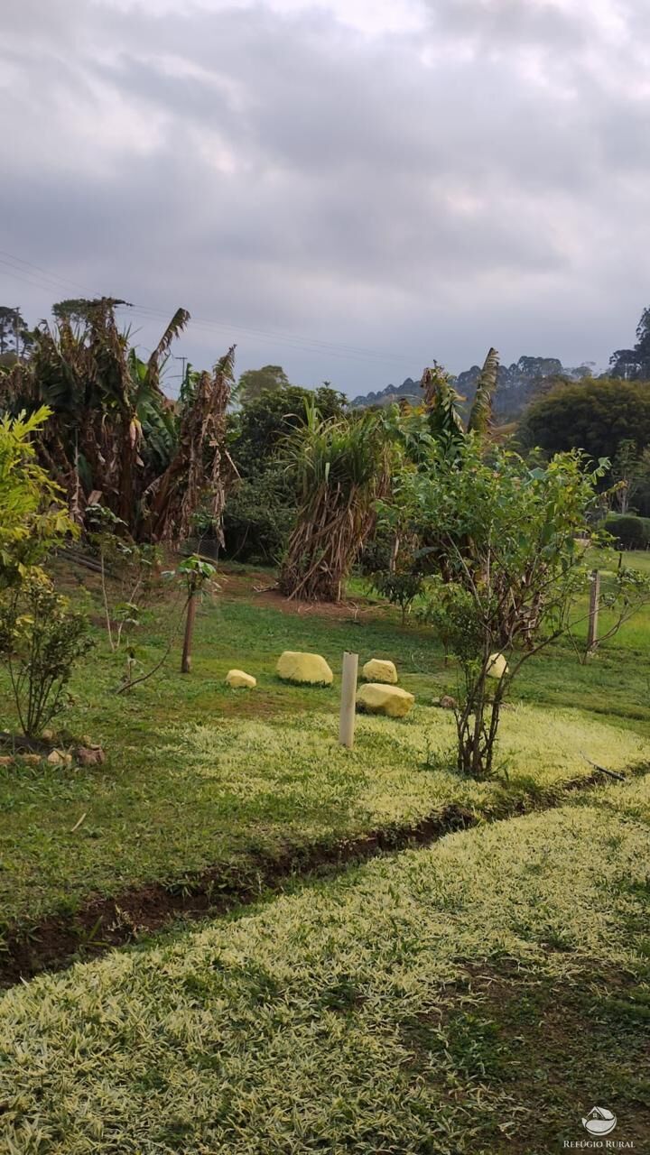 Chácara à venda com 2 quartos, 7000m² - Foto 3