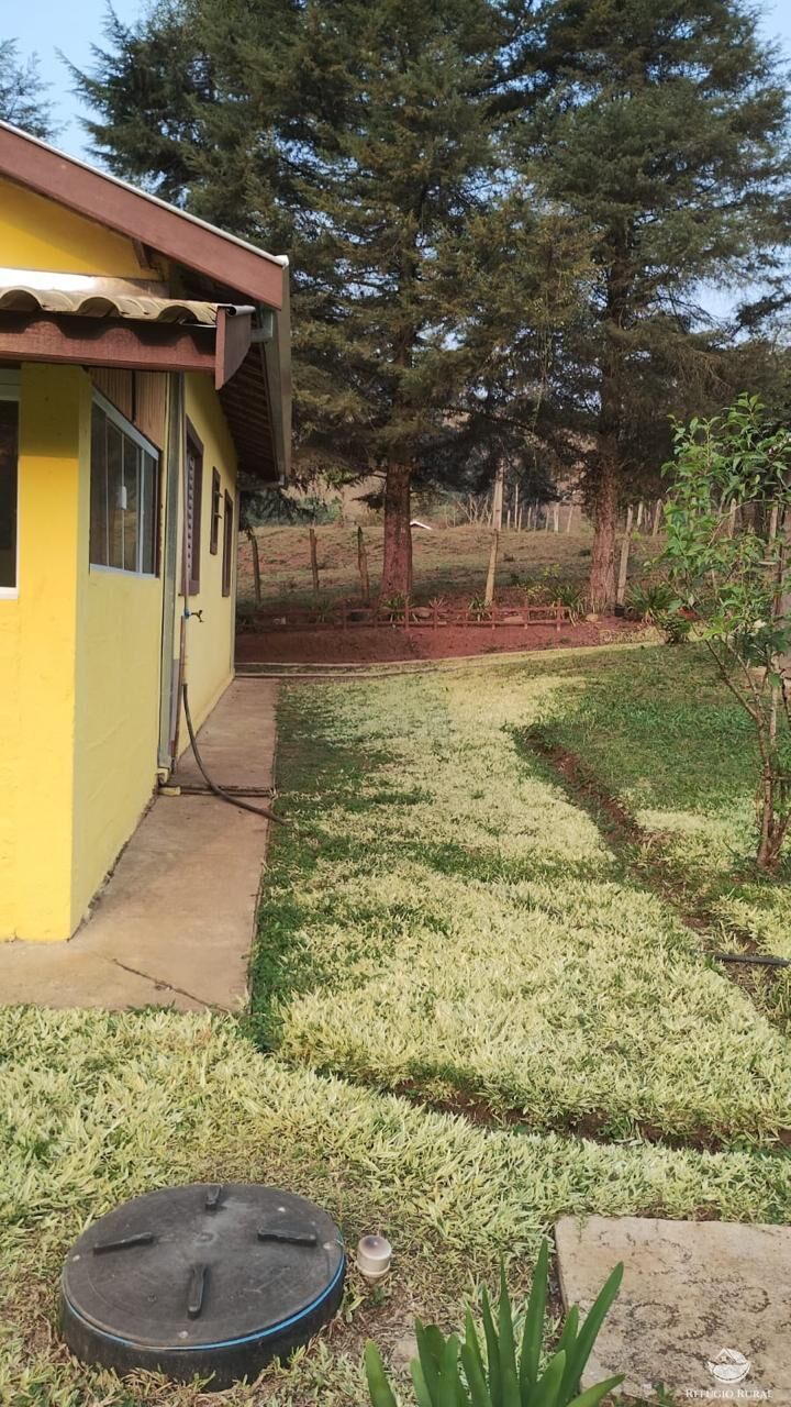 Chácara à venda com 2 quartos, 7000m² - Foto 6