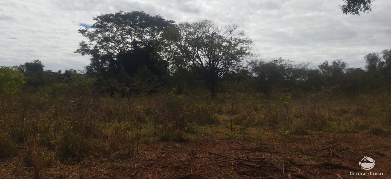 Sítio, 1 quarto, 10648 hectares - Foto 34