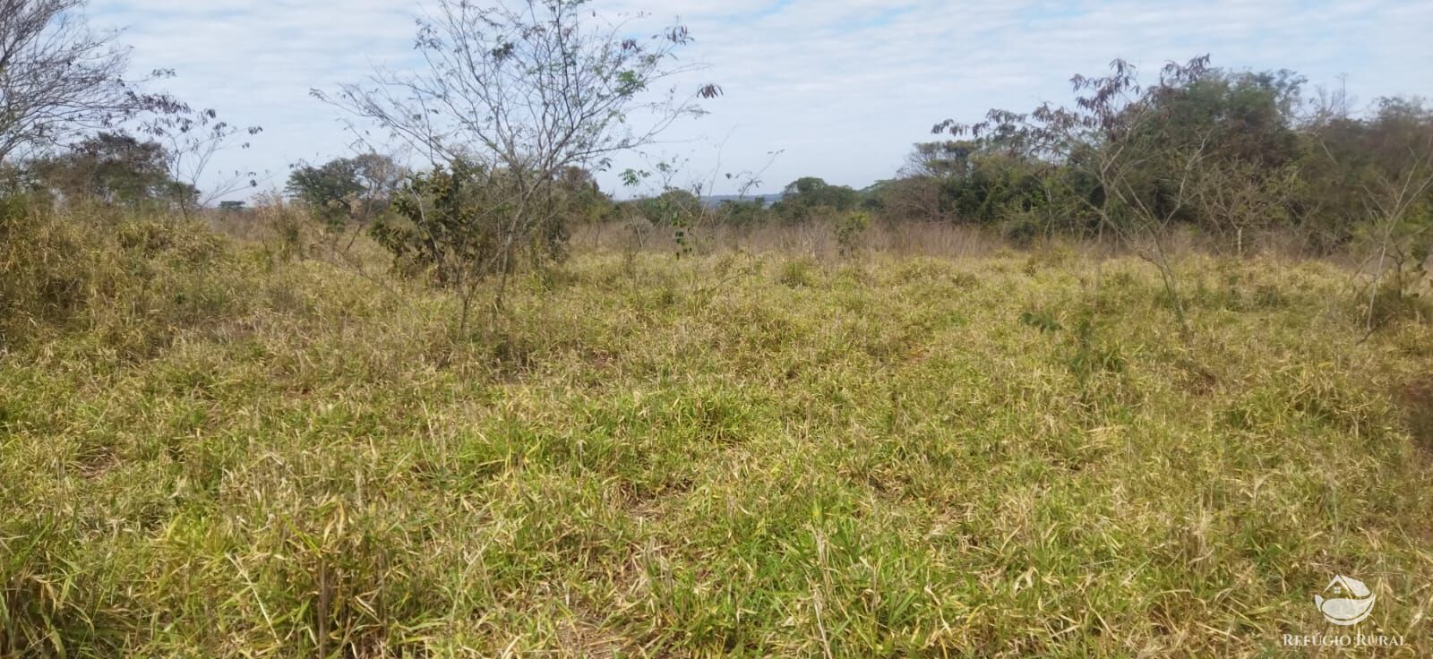 Sítio, 1 quarto, 10648 hectares - Foto 30