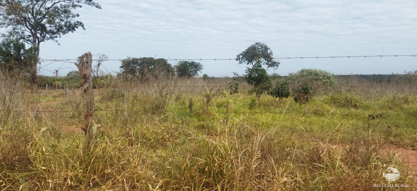 Sítio, 1 quarto, 10648 hectares - Foto 9