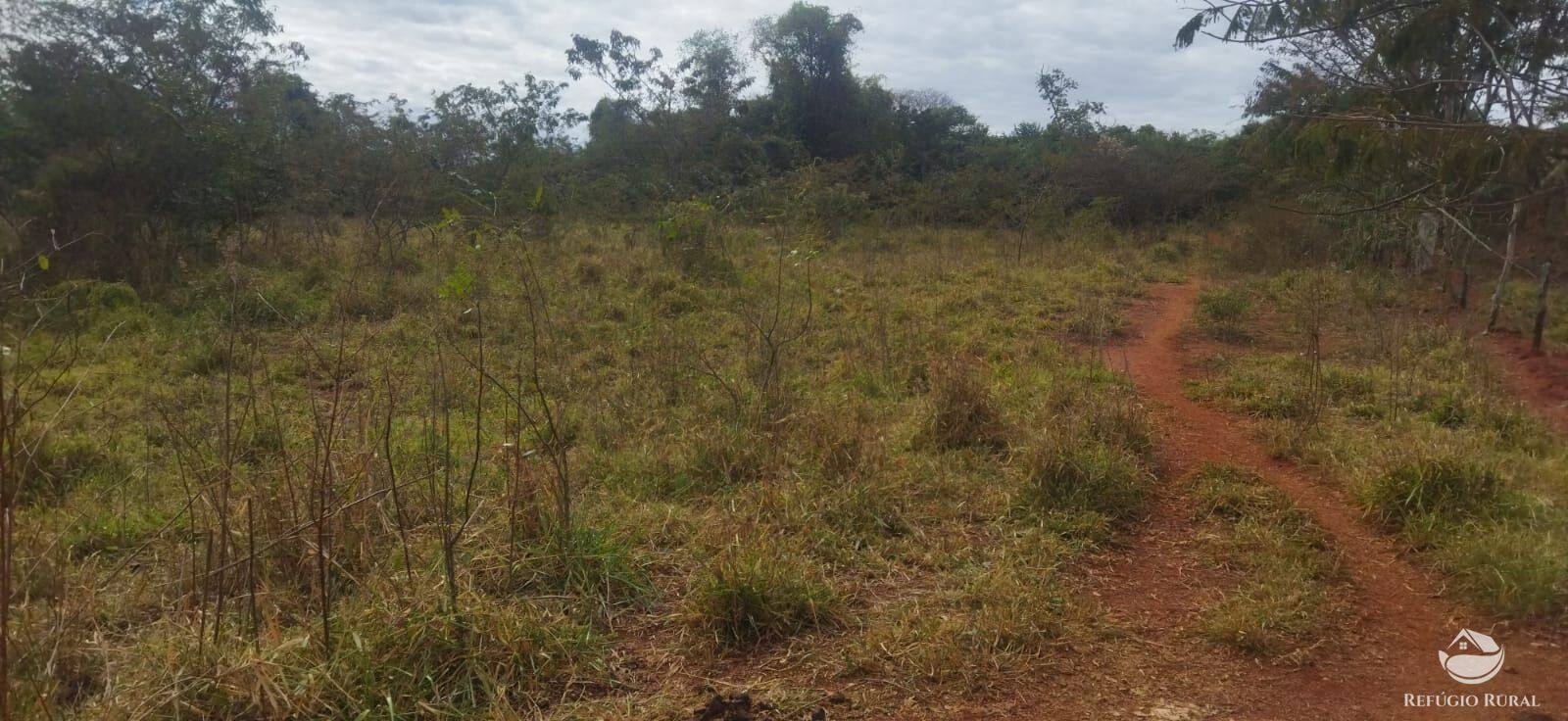 Sítio, 1 quarto, 10648 hectares - Foto 23