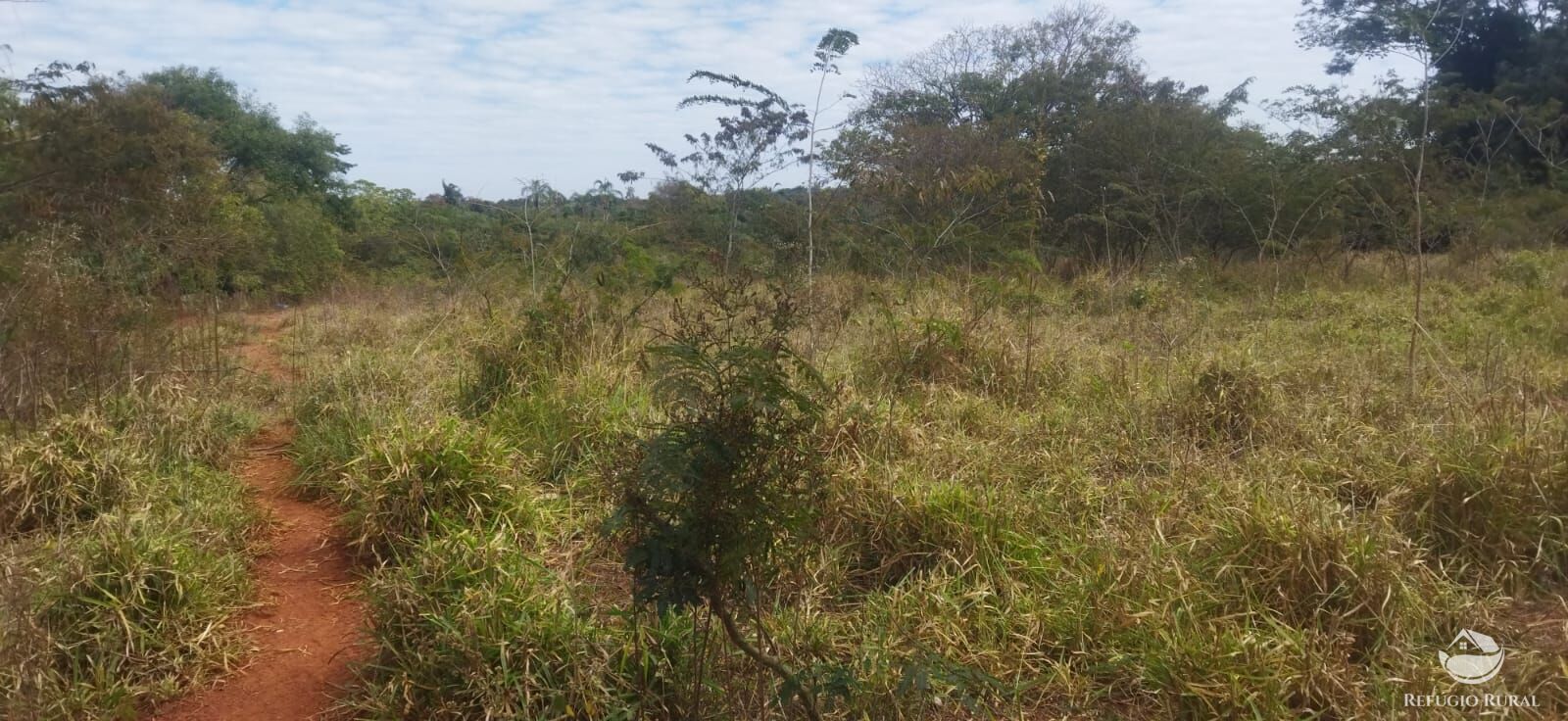 Sítio, 1 quarto, 10648 hectares - Foto 21