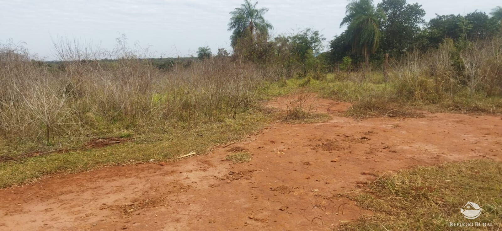 Sítio, 1 quarto, 10648 hectares - Foto 8