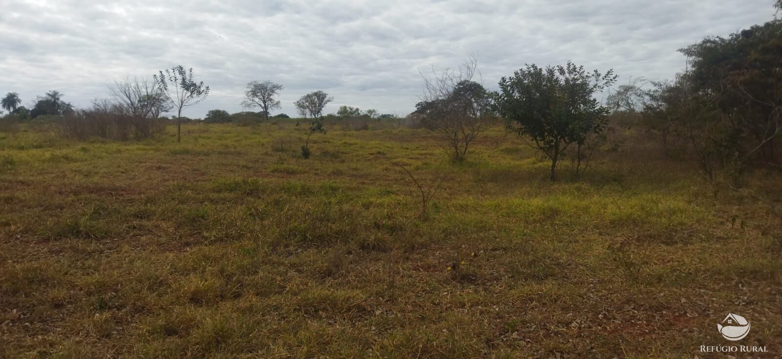 Sítio, 1 quarto, 10648 hectares - Foto 16