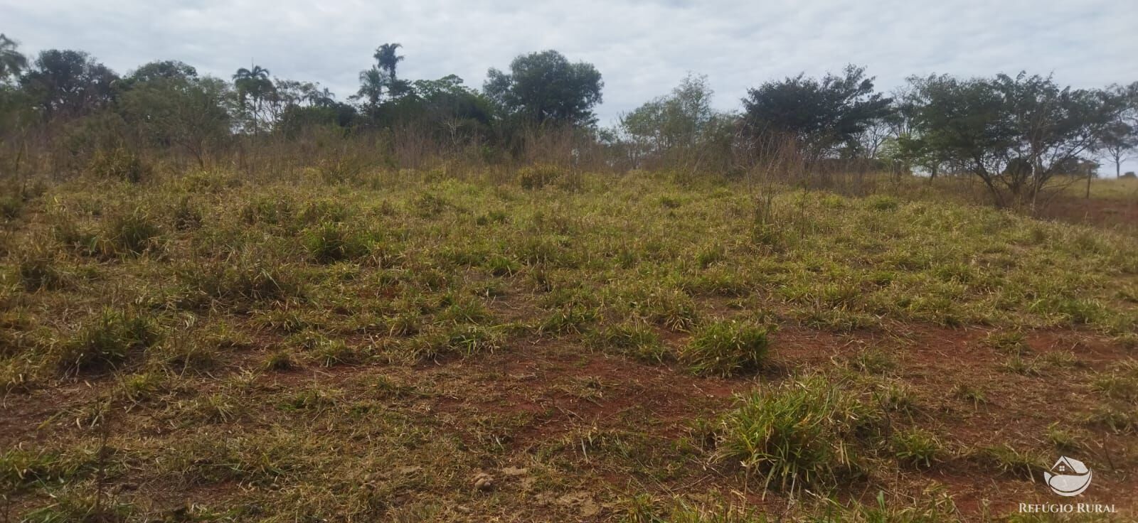 Sítio, 1 quarto, 10648 hectares - Foto 29