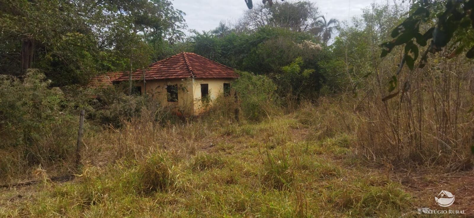 Sítio, 1 quarto, 10648 hectares - Foto 2