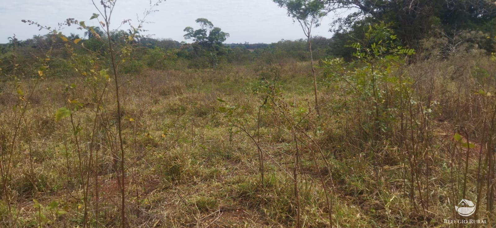 Sítio, 1 quarto, 10648 hectares - Foto 20
