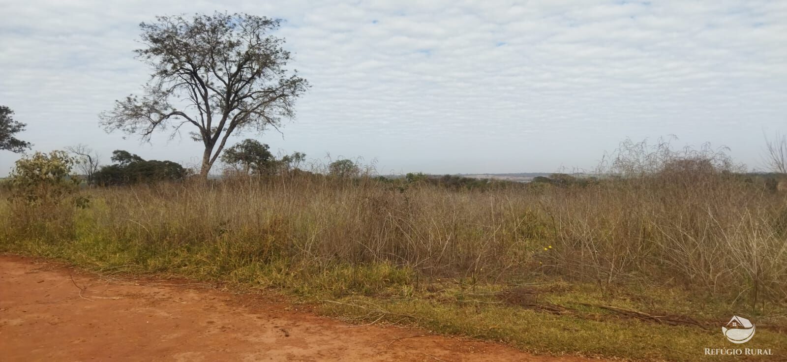 Sítio, 1 quarto, 10648 hectares - Foto 7