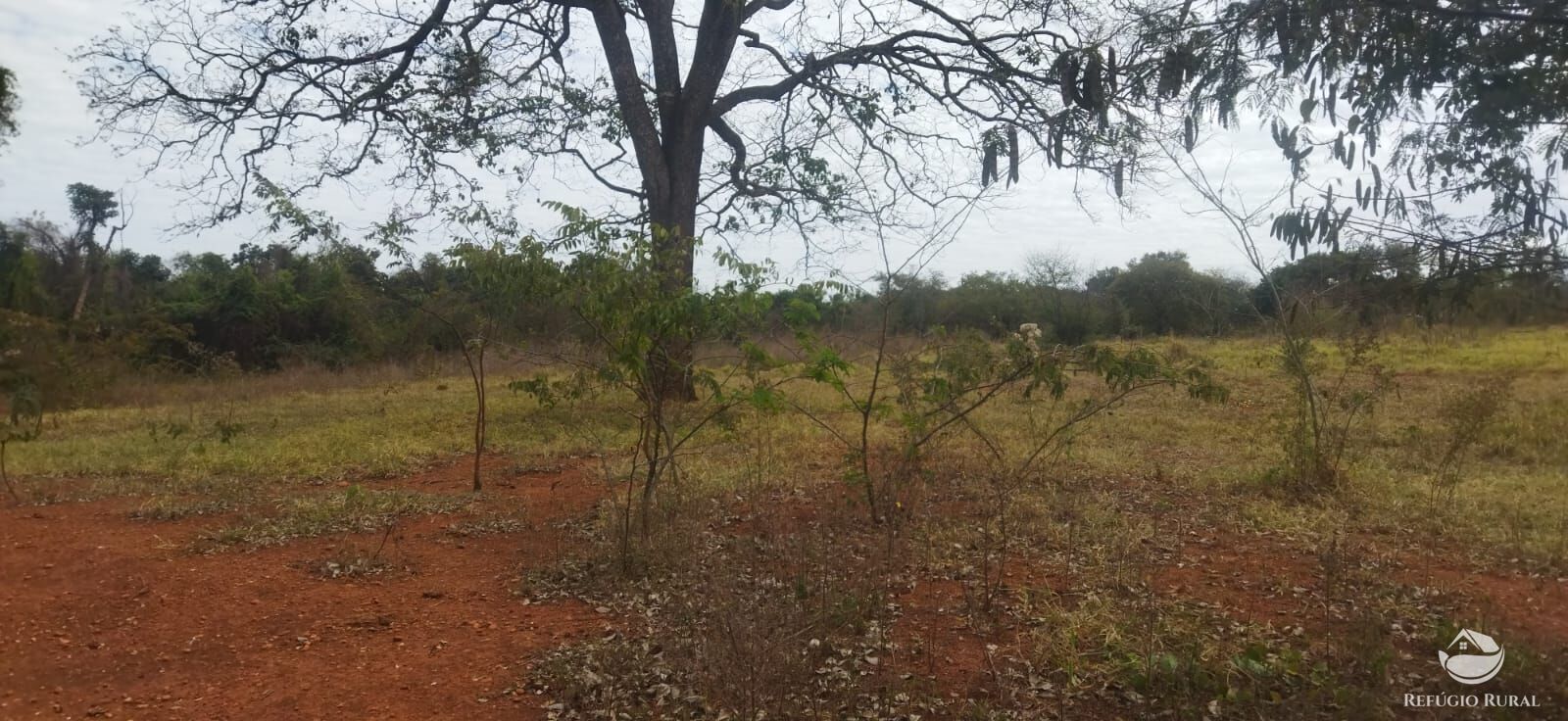 Sítio, 1 quarto, 10648 hectares - Foto 1