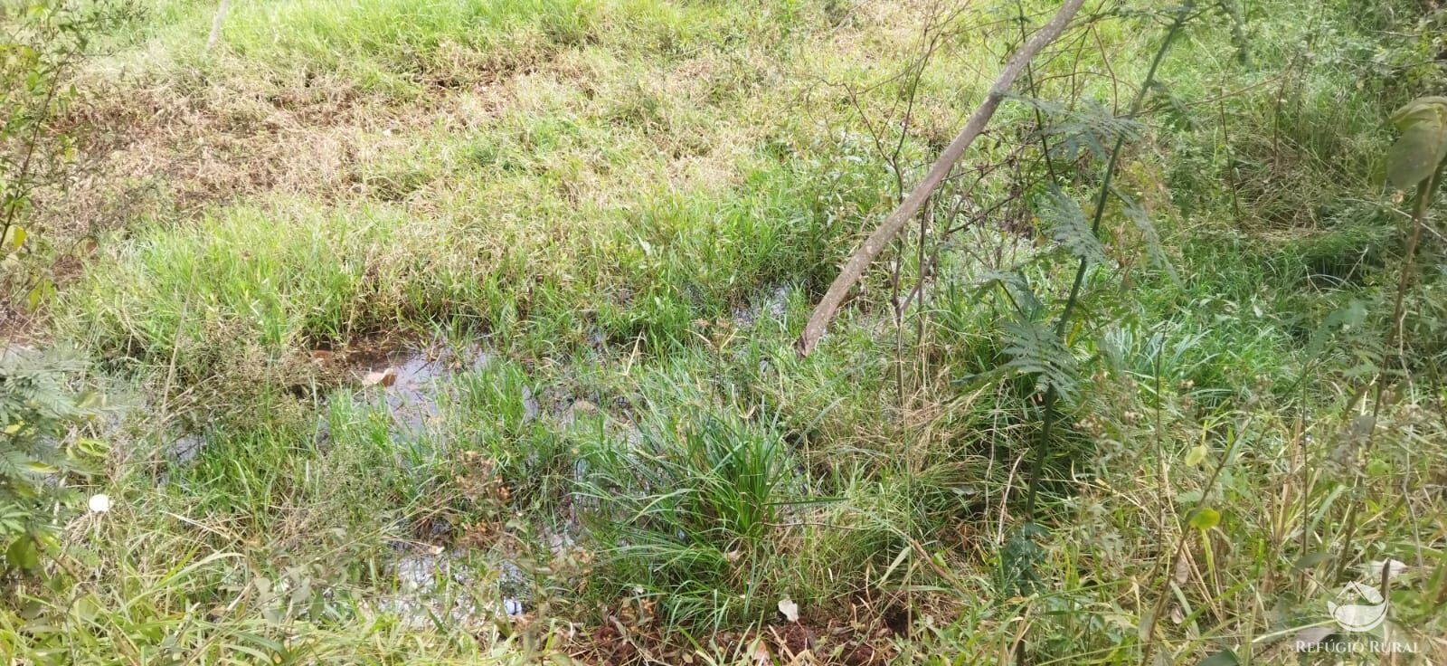 Sítio, 1 quarto, 10648 hectares - Foto 27