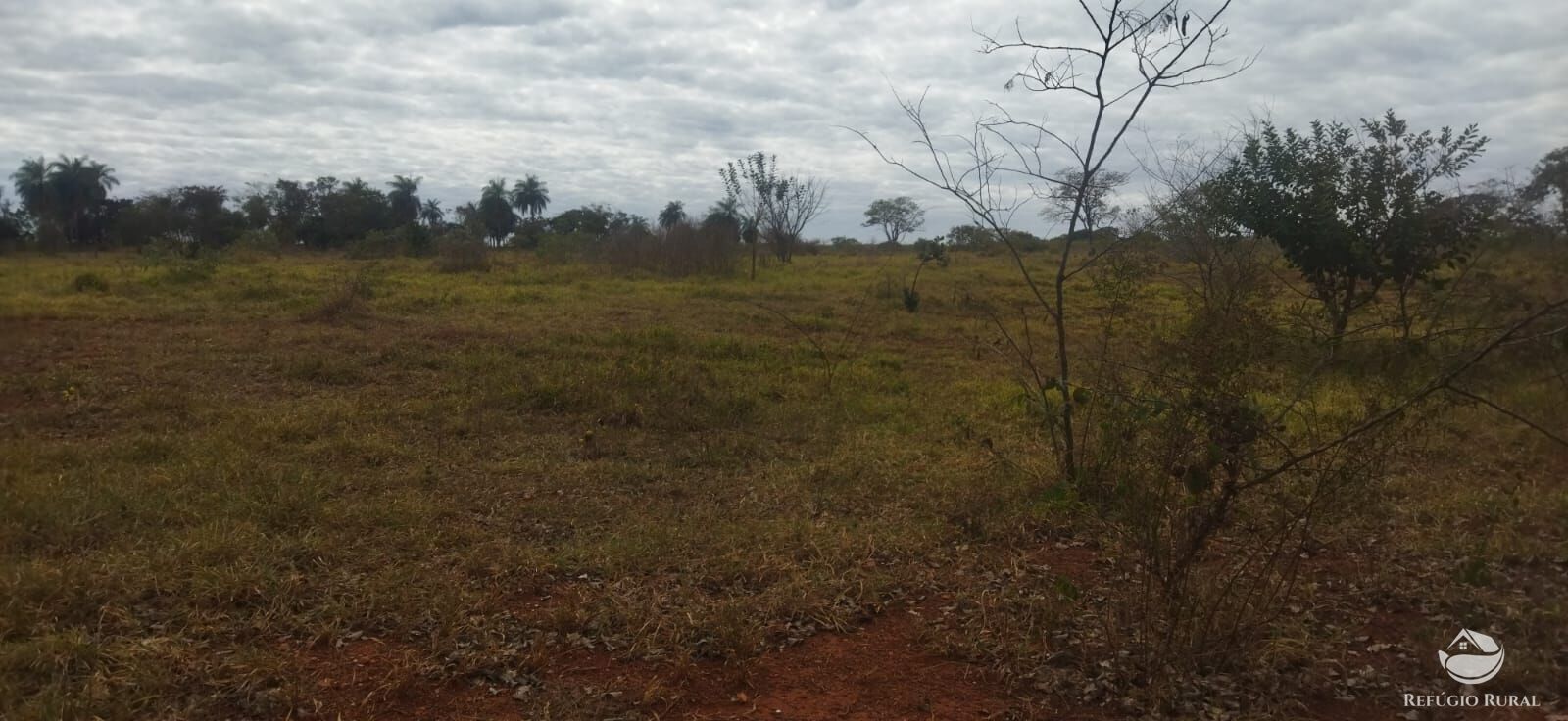 Sítio, 1 quarto, 10648 hectares - Foto 12