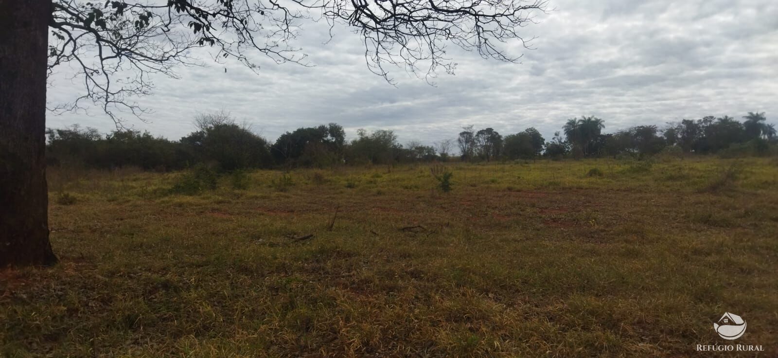 Sítio, 1 quarto, 10648 hectares - Foto 14