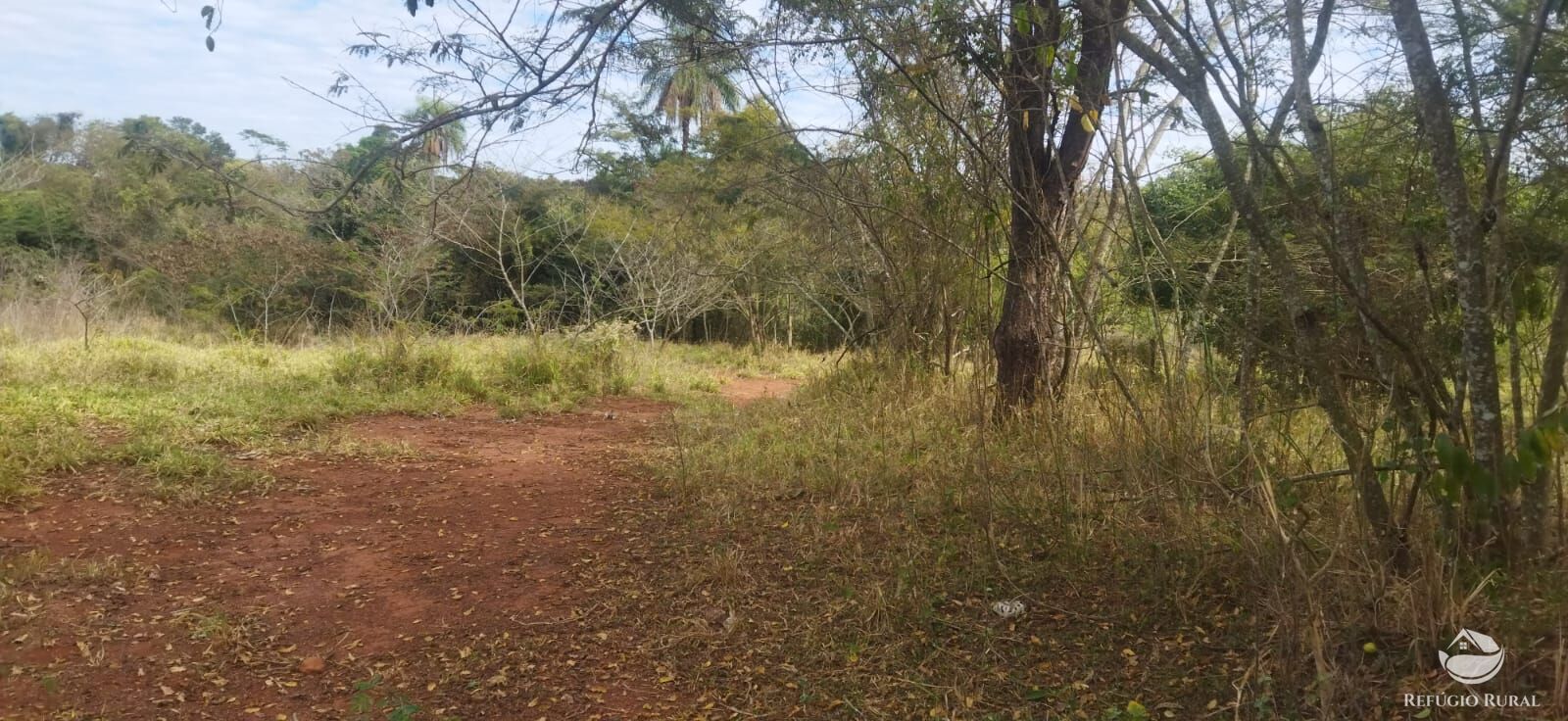 Sítio, 1 quarto, 10648 hectares - Foto 31
