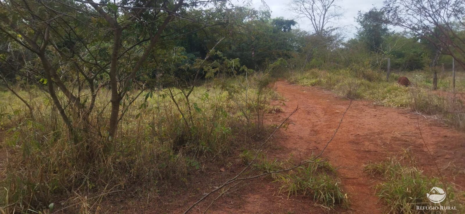 Sítio, 1 quarto, 10648 hectares - Foto 22