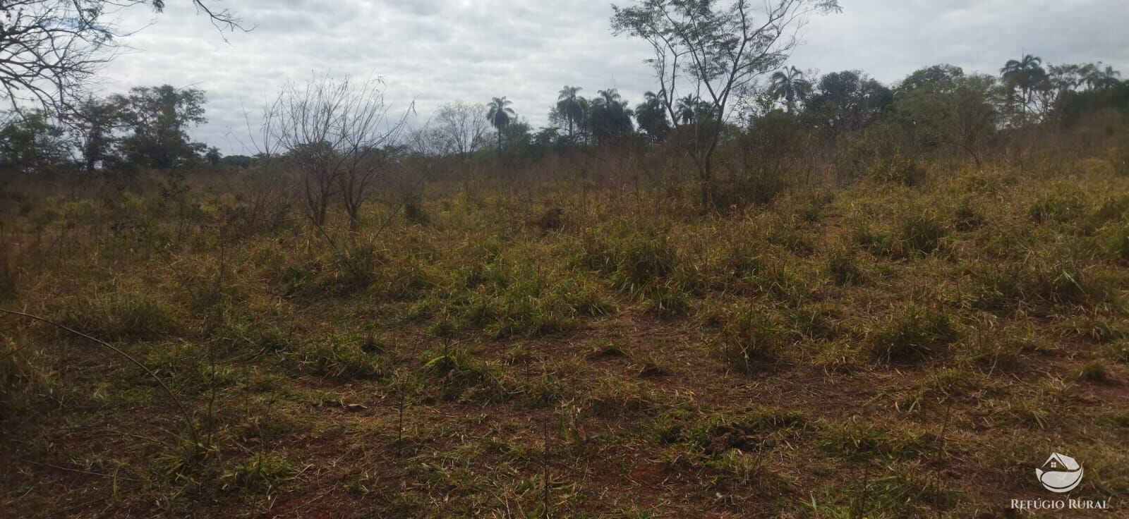 Sítio, 1 quarto, 10648 hectares - Foto 28
