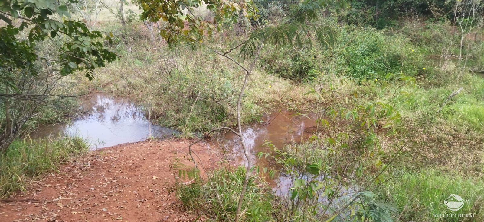 Sítio, 1 quarto, 10648 hectares - Foto 37