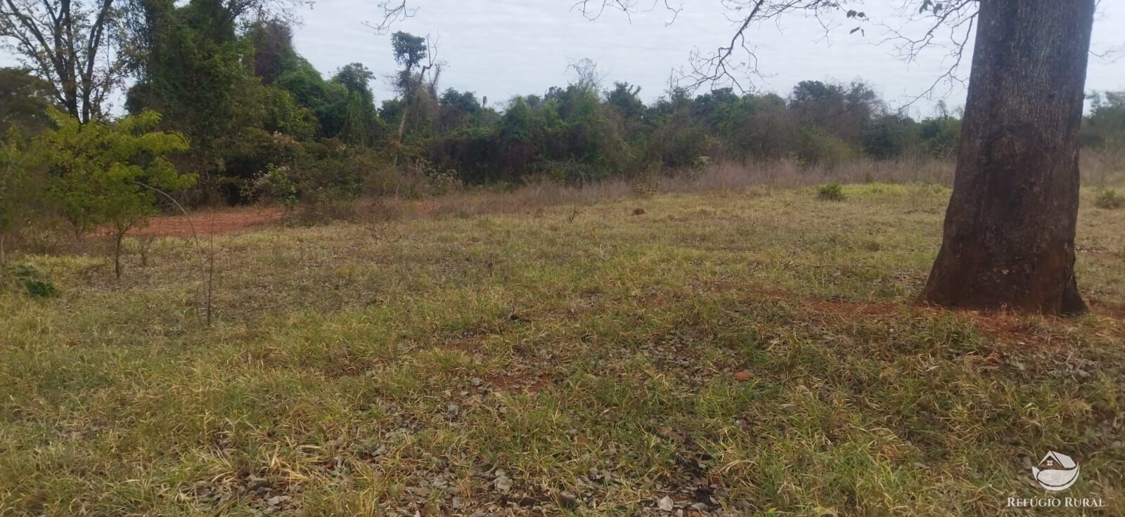 Sítio, 1 quarto, 10648 hectares - Foto 19