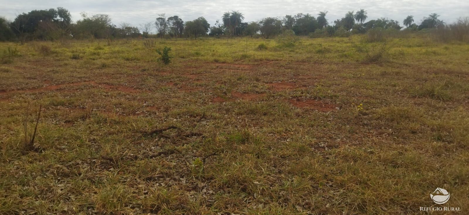 Sítio, 1 quarto, 10648 hectares - Foto 15