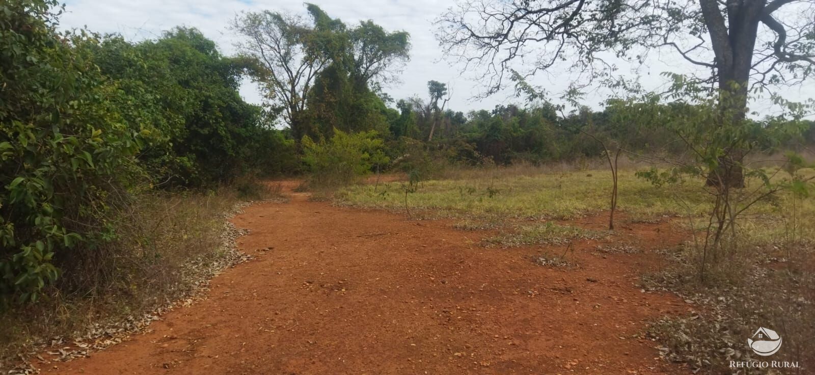 Sítio, 1 quarto, 10648 hectares - Foto 10