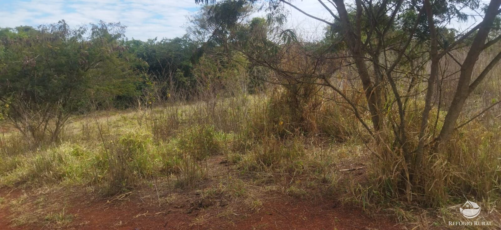 Sítio, 1 quarto, 10648 hectares - Foto 33