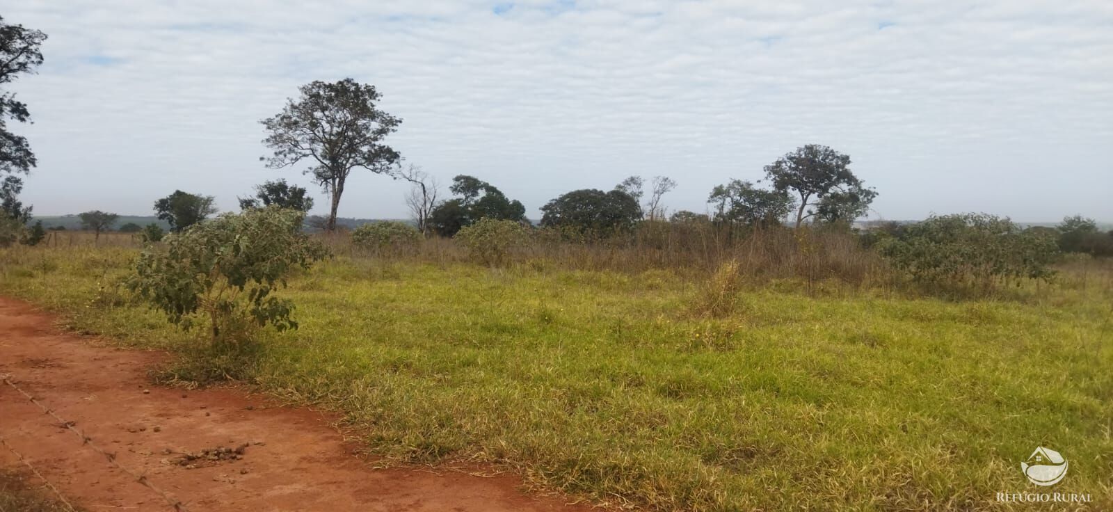 Sítio, 1 quarto, 10648 hectares - Foto 13