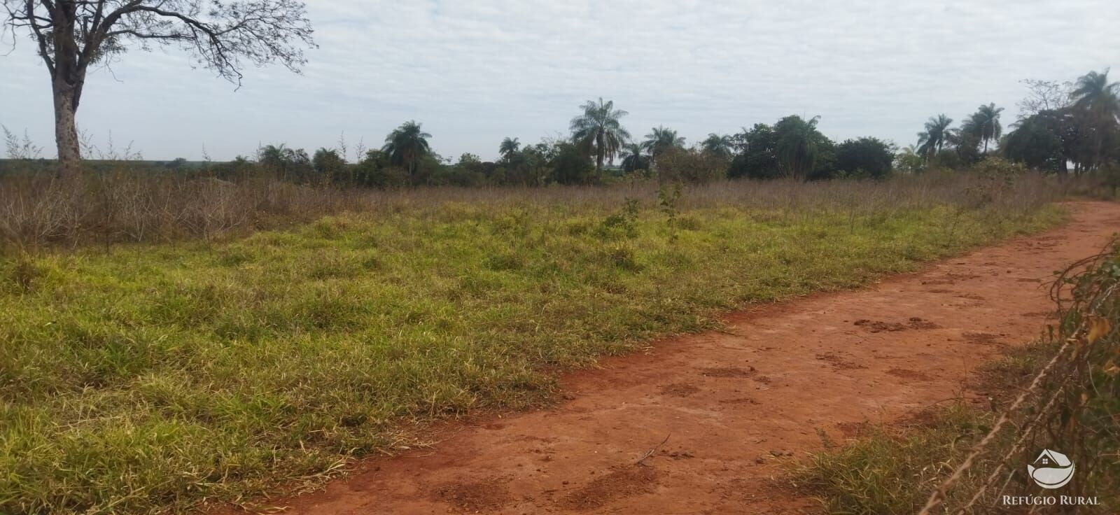 Sítio, 1 quarto, 10648 hectares - Foto 3