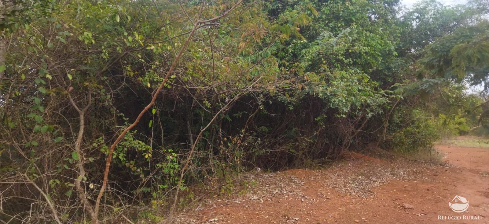 Sítio, 1 quarto, 10648 hectares - Foto 4