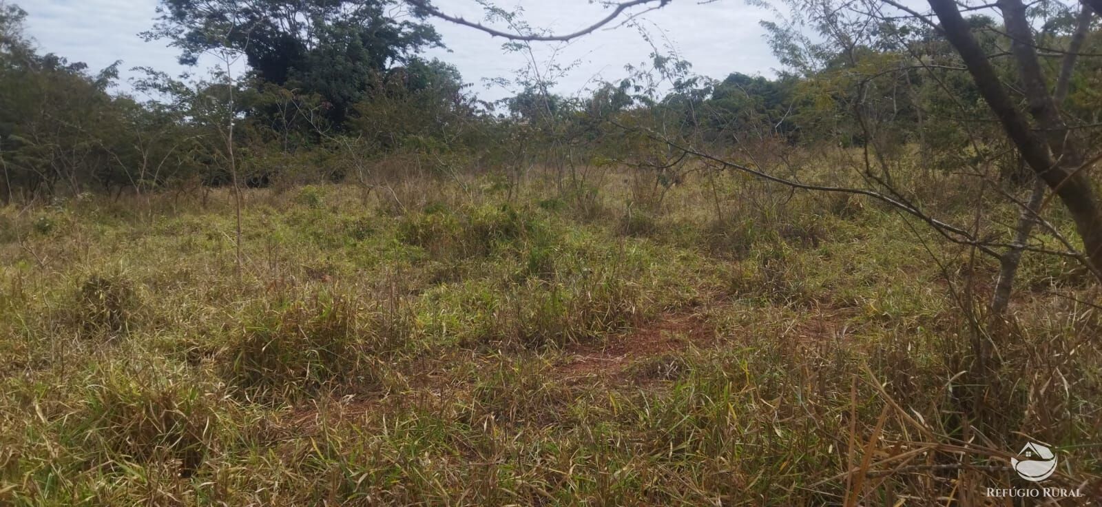 Sítio, 1 quarto, 10648 hectares - Foto 18