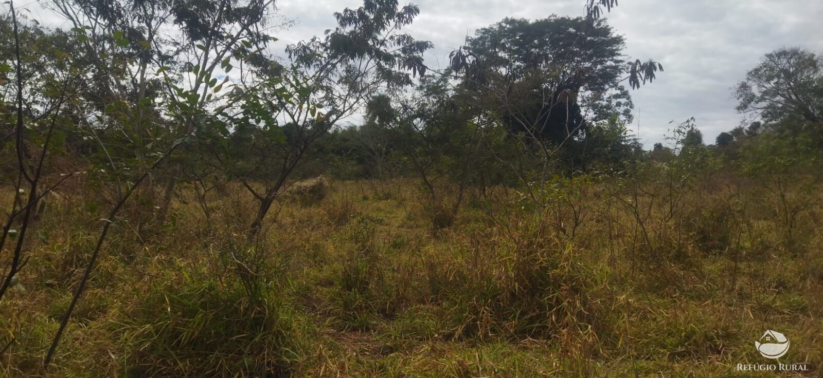 Sítio, 1 quarto, 10648 hectares - Foto 25