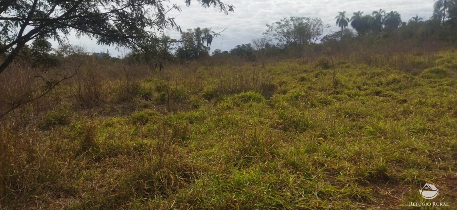 Sítio, 1 quarto, 10648 hectares - Foto 35