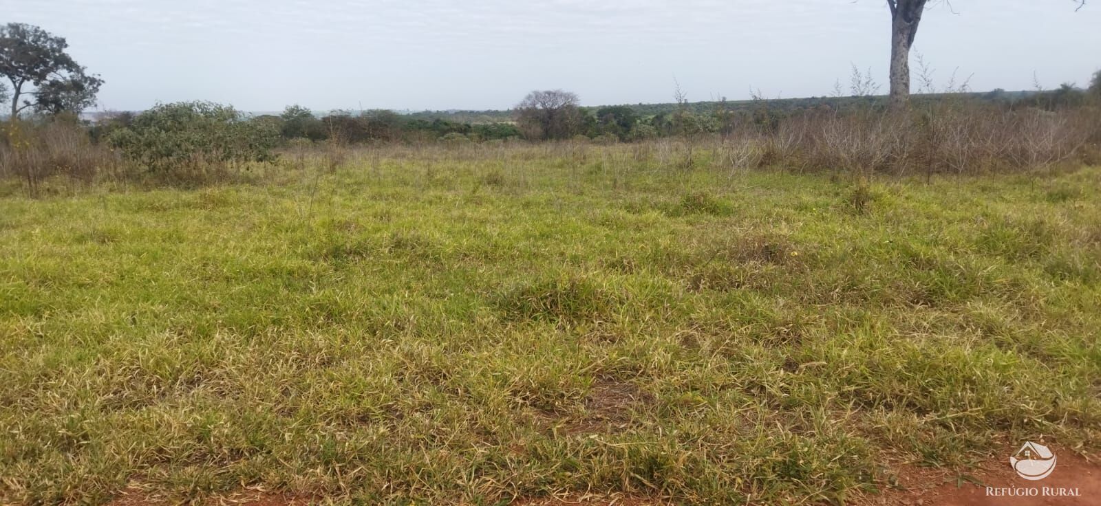 Sítio, 1 quarto, 10648 hectares - Foto 5