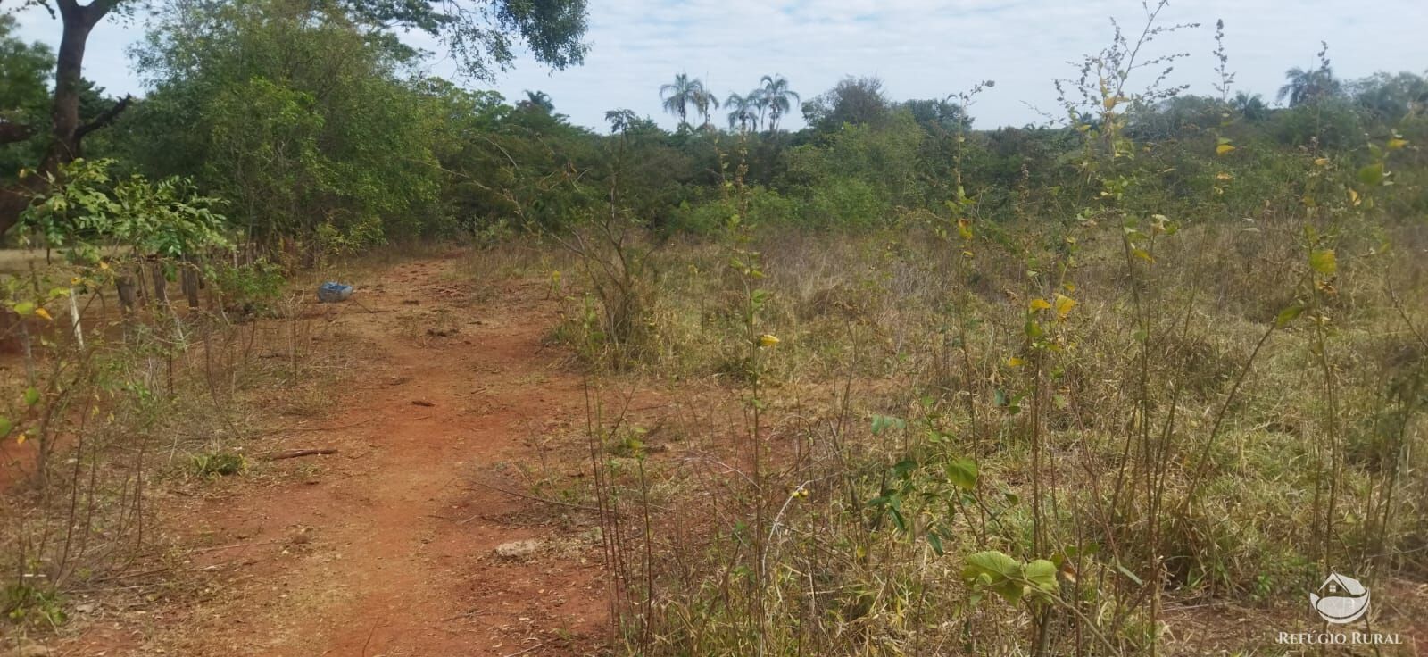 Sítio, 1 quarto, 10648 hectares - Foto 24