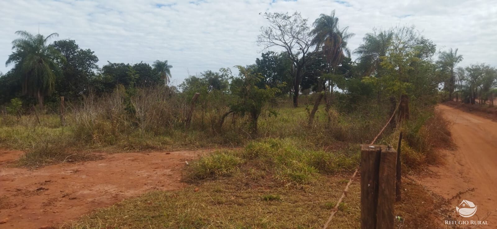 Sítio, 1 quarto, 10648 hectares - Foto 11