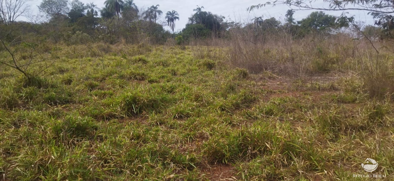 Sítio, 1 quarto, 10648 hectares - Foto 32