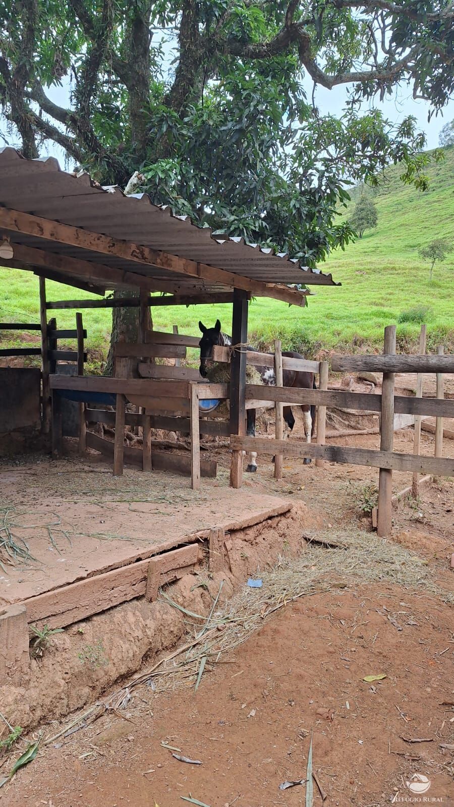 Sítio, 3 quartos, 4 hectares - Foto 21